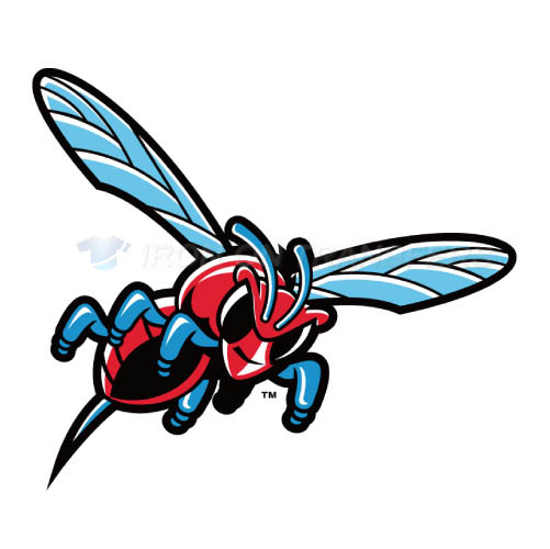 Delaware State Hornets Logo T-shirts Iron On Transfers N4245 - Click Image to Close